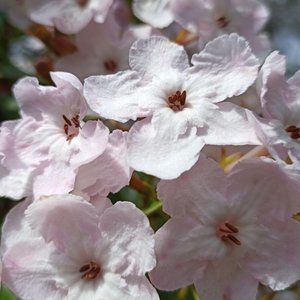 Greeting from Karen!